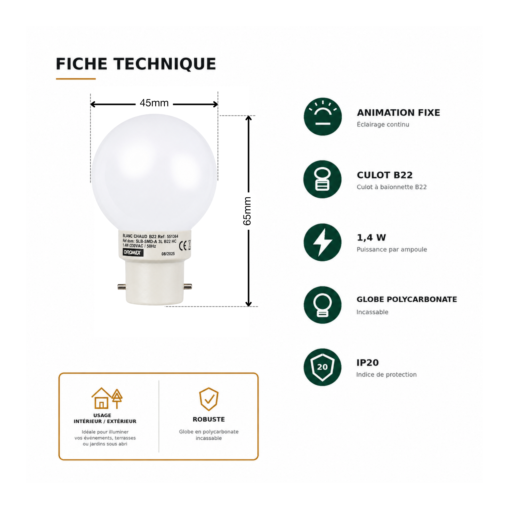Pack de 5 ampoules B22